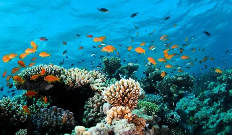 REPORT: Kanduthakaa medhu alhugandumenge visnun badhalukoh, aa gulhumeh binaakurun