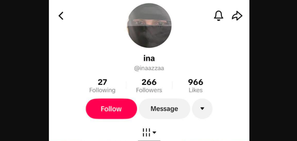 TikTok accounteh medhverikoh makaraai heelathun faisaa haodhaathee samaaluvaan edhefi 