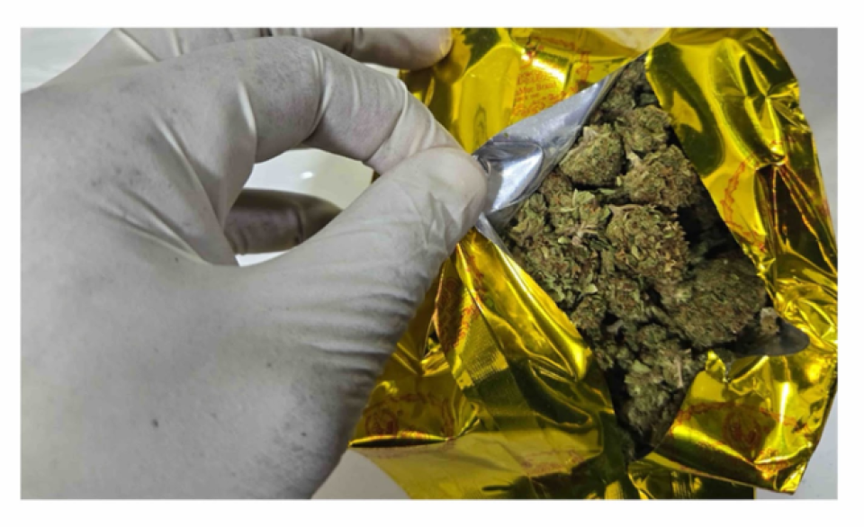 Post medhuverikoh raajje etherekuran ulhunu 3.2 kiloge cannebis athulaigenfi 