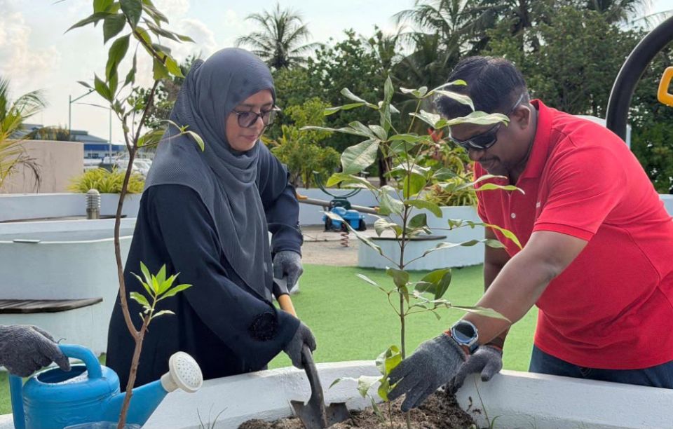Ooredoo in Dhiffusheegai 