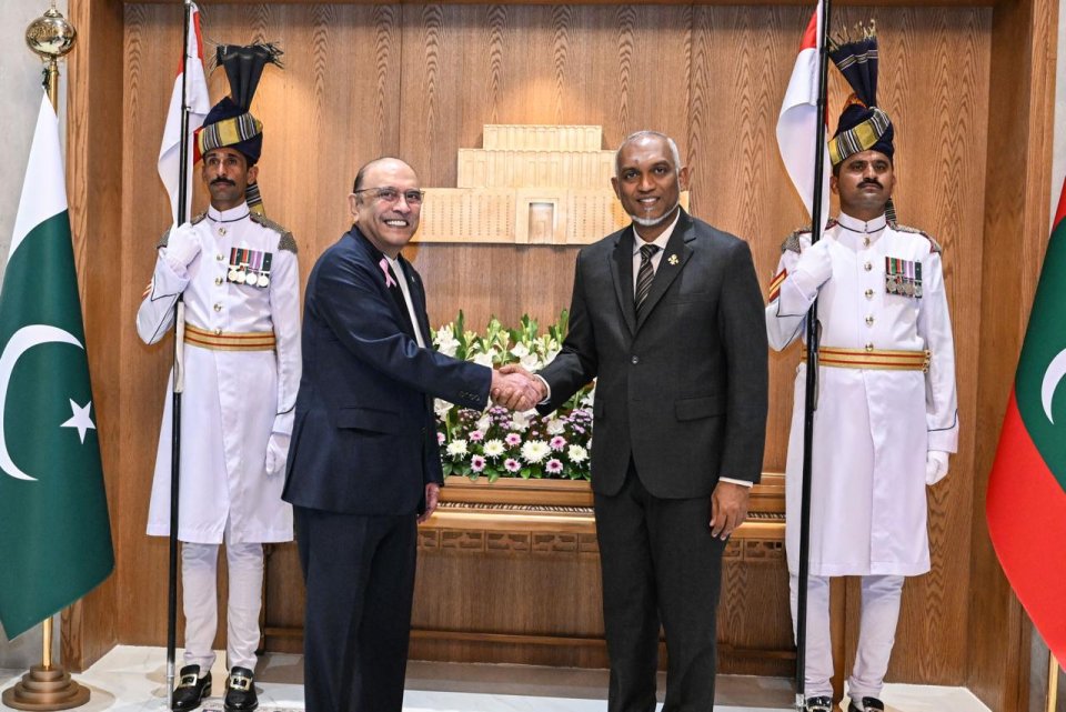 President meets his Pakistani Counterpart 