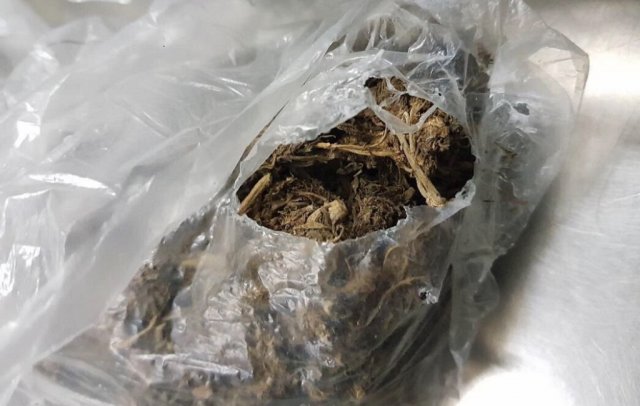 Gan airport medhuverikoh ethere kuran ulhunu 3kg ah vure guna cannebis athulaigenfi 