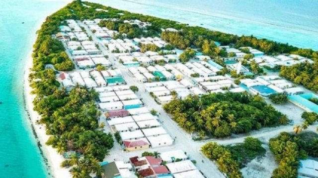 Dhuvaafarugai thoonu ehchakun hamalaadhee bidheyseeaku zahamkohllaifi 