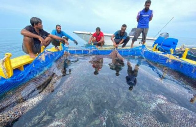 Tourism,Fisheries adhi Construction sector advisory committee ah memberun hodhanee!