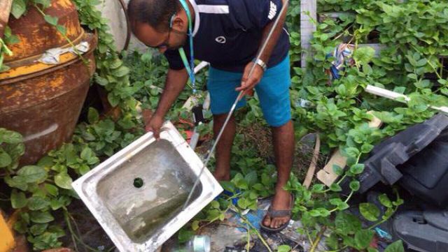 Male' gai influencer aai dengue hun gadhayah fethurenee, vaccine jehumaa eku madhirin rakkaatherivaan ilthimaas koffi