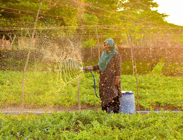 Phase 2 beach tharaggee kuran HDC in aammunge hiyaalah hulhuvaalaifi 