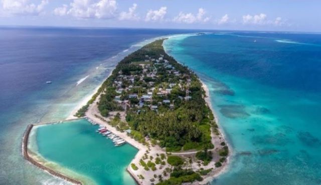 Dhigurashugai hingi alifaanu ge haadhisaa gai 5 meehaku niyaavejje