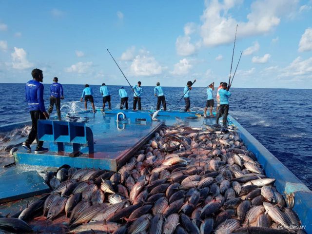 MIFCO in masverinnah mi mahu 13 million rufiyaa dhookoffi