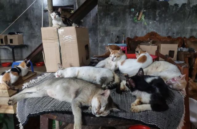 Hoarafusheegai bulhaleh dhan jassaa maraalun: Thahugeegu fashaa thin meehakaa suvaalukoffi 