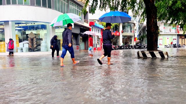 Boakih vaarey vehi guguraanekamah lafaakoh raajjeyge bodu sarhahdhakah white alert nerefi