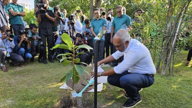 Thimaaveshi rakkaatheri kurumakee emmenge farudhee zinmaaeh: Raees