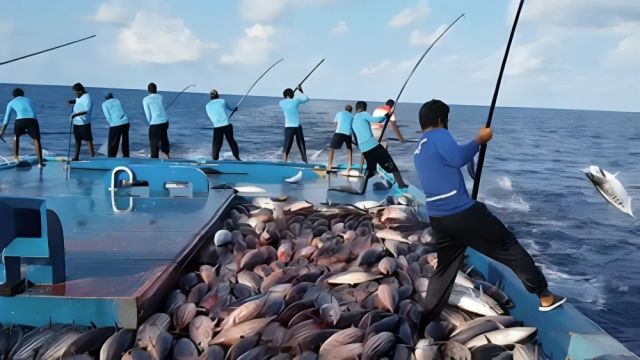 PNC ge Secretary General ge magaamun Muaz Haleem isthiufa dhevvaifi