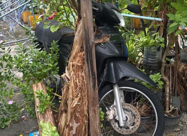 Hulhumale' gai beynun nukoh gina dhuvas vefaivaa 716 ulhandhegge mauloomaath ekkoffi 