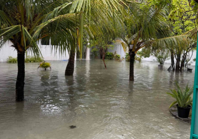 HDC ge website ah AI bot 'mithuru' adhi accessibility ithuru koh aa features thakeh thaaraf kohffi