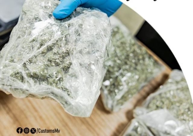 Raaje ethere kuran ulhunu 3 kg ge cannabis faiy athulaigenfi 