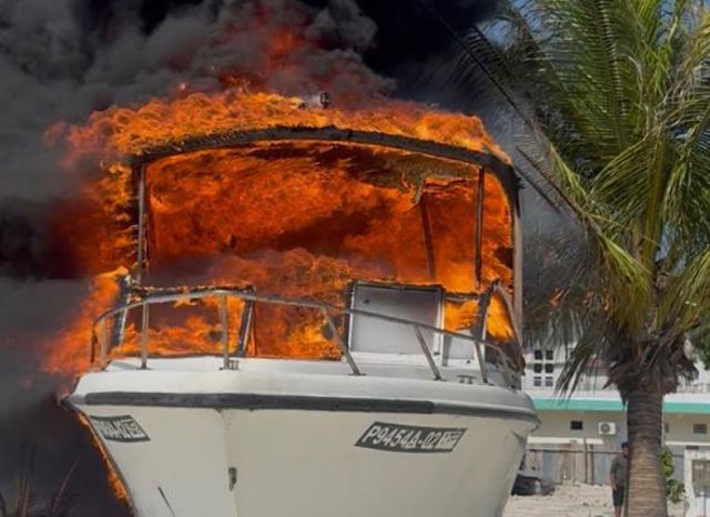 Maafusheegai ehelaafai oih launch eggai alifaan roave andhaifi 