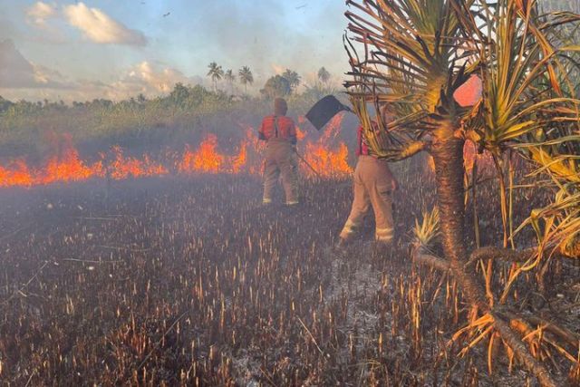 Hithadhoo SHEESHAA kurimathee oiy chasbimugai roavi alifaan nivvaalaifi
