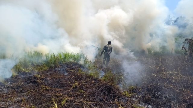 Addu kulheegai roavi alifaangandu nivvaalaifi