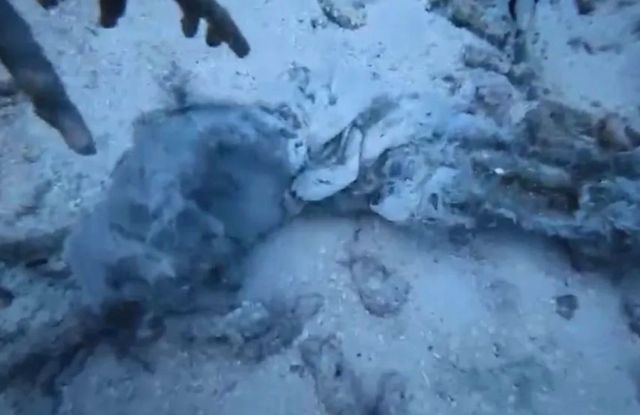 India meehun dhuvvi launch accidentvi sarahahdhuge kandu adin insaanehge atheh fenijje!