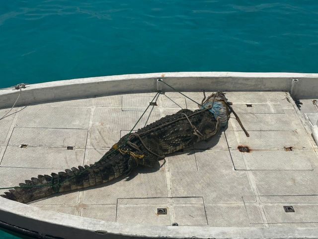 Lh. Atoll falhurashakun fenunu 5ft ge kinboo sifainnaa havaalukohfi