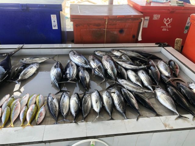 Hulhumale' gai gaaimukohffaivaa vaguthee mas market kuyyah dheyn hulhuvaalanee