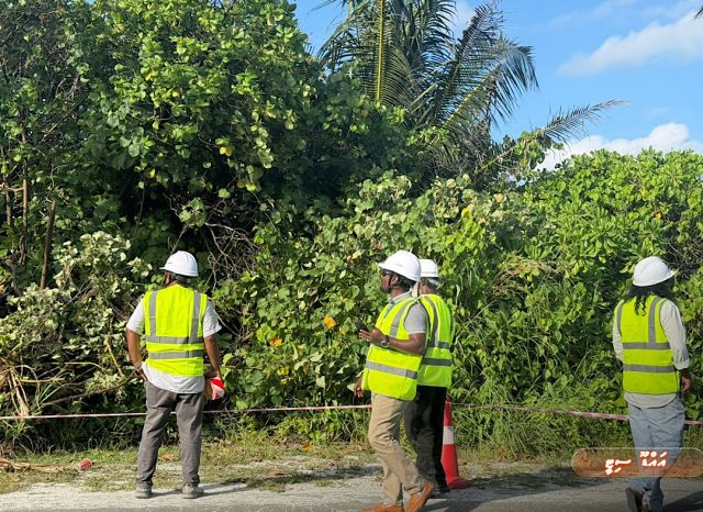 Addu link road tharaggee kurun: Survey nimmaa magu hedhumah beynunvaa saamaanu fonuvaifi 