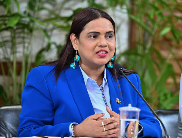 ECOSOC ah inthihaabuvumakee bainalaguvaamee gothun raees ge haarijee siyaasathu balaiganna kamuge hekkeh: Iruthishaam