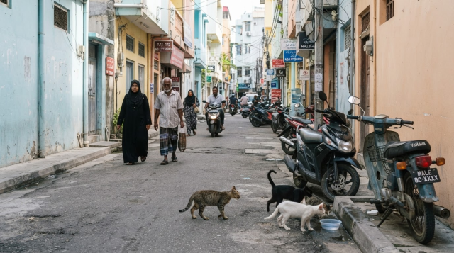 OPINION: Dhivessakah vure bulhalaai bidheyseenge haqthah bodeetha?