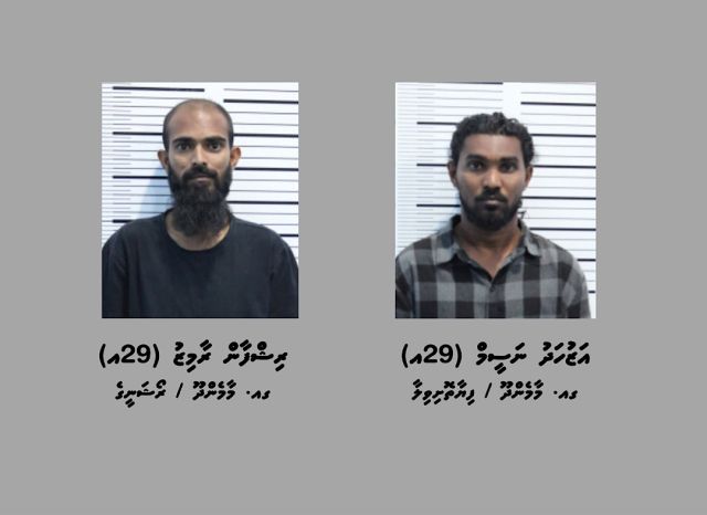 Maamendhoo in 17.7 kilo ge masthuvaathakehchaa eku dhe meehaku hayyaru koffi 