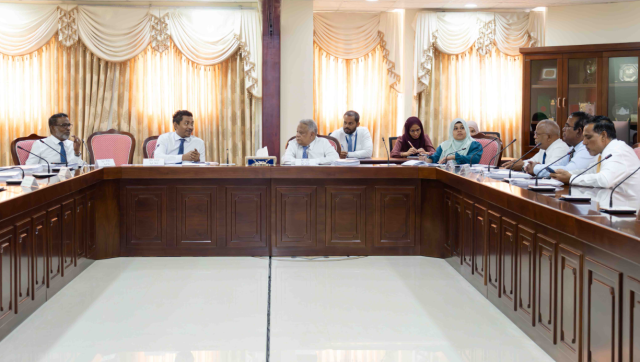 Audit offeehun husha'helhi gothah 133 million rufiya ge budget eh dheyn Committee in faas kohffi