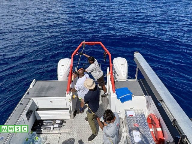 Male' sarahahdhuge kandu adeegai fen ufahdhaa nizameh gaaimukurumuge amalee dhiraasaa fashaifi