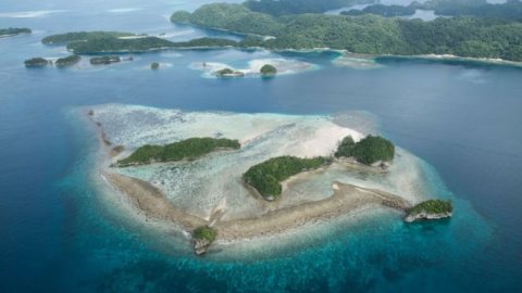 Palau: first country to ban 'reef toxic' sun cream 