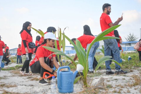 Treasure the tree: Cyryx college in hulumale phase 2 gai gas indhaifi