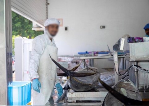 Ensis Fisheries staff tests positive for Covid-19