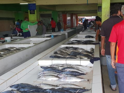Male' Fish Market ready to reopen under new normal