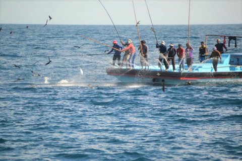 Fishing boat deckhand dies amid trip