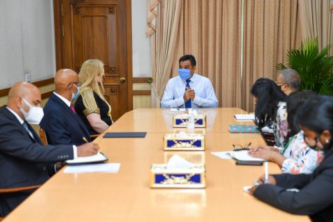 UN Resident Coordinator meets VP Faisal 