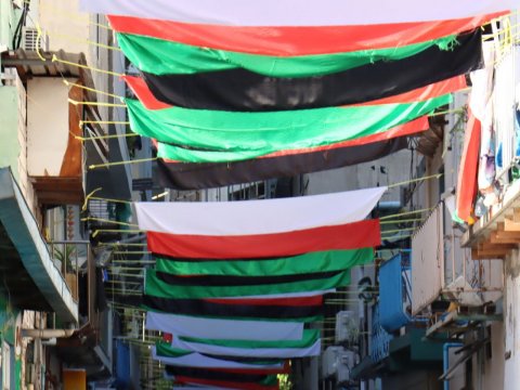 The Maldives stands in solidarity with Palestine: Govt