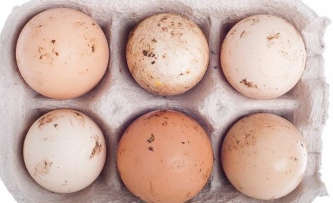 MFDA orders businesses to display expiry dates for eggs