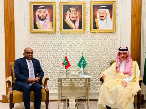 Minister Shahid meets his Saudi counterpart 