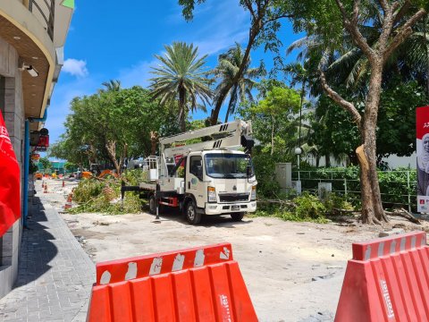 Nasheed concerned about the removal of trees from Ameenee Magu