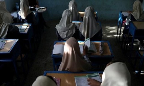 Sixty Afghan girld hospitalized after school poisoning - police