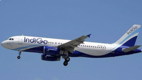 Local man arrested for harassing IndiGo cabin crew members 