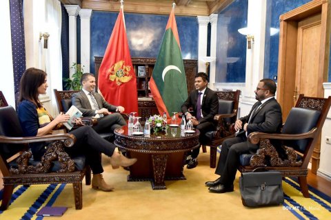 VP meets with First Deputy Prime Minister of Montenegro