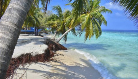 Long Read:Maldives Grapples with Escalating Beach Erosion Crisis