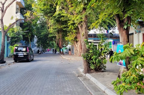 Villimale Road project: Preserving greenery a key aspect