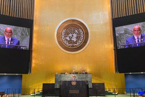Palestinian UN Membership:Maldives calls on UNSC to abolish veto