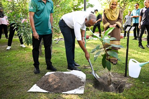 First Couple launches the 5 million trees planting program