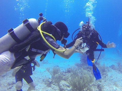 Diver loses arm after being hit by a launch