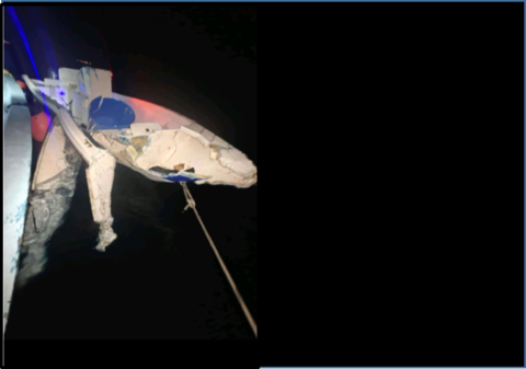 Launch crashes with a dinghy injuring 4